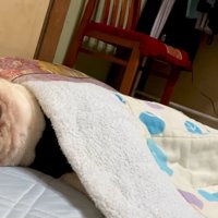 満足そうな寝顔♡