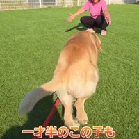 元気いっぱいのわんぱくさん