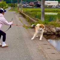 「泥遊びしたい！！」