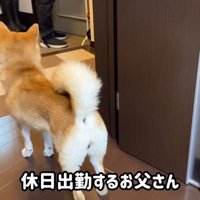 お父さんをお見送り