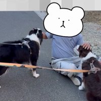 親方に撫でられる2匹