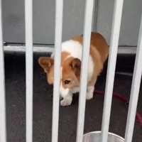 お父さん