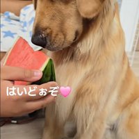 一緒にスイカも食べました