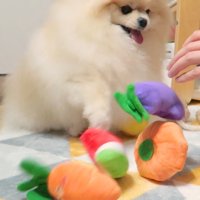 やっぱり破壊（笑）