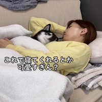 ソファーで寝る女性と黒柴