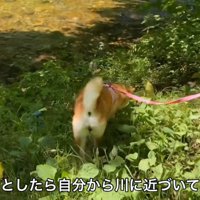 「もうちょっと川で遊びたいかも…」
