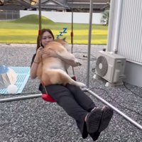 寝始めたおもちくん