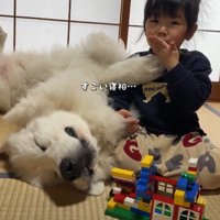 仰向けになっちゃった！！
