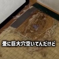大きな穴を作り上げていた