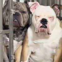 とっても仲良しなふたり