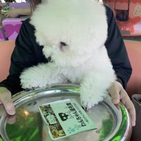 上手に回してます