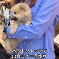 子犬を抱っこする女性