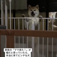 言い分があります