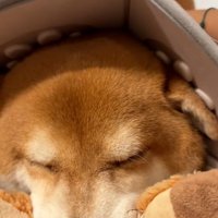 ドアップの長三郎くん