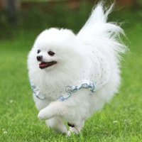 ふわふわなこまめちゃん