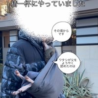 抱っこ紐で犬をお散歩2