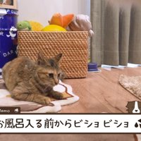 ビショビショになっちゃった…