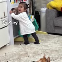 全部入りきらない！！