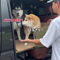 「パパは嫌！！」