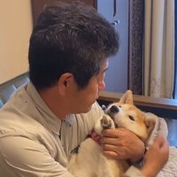男性の顔を見つめる犬
