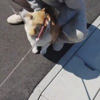 初対面とは思えない…♡