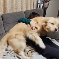 ブルブルするブランくん