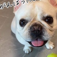 こんなに綺麗な目に！！