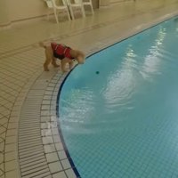 ボールを拾おうとして…