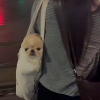 ミノムシさんみたい♡