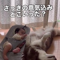 さっきの意気込みは…
