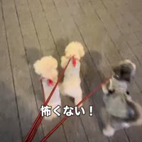 サポートを欠かさない