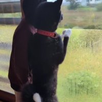 まるでトリックアート…