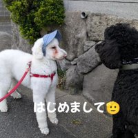 友達との交流も