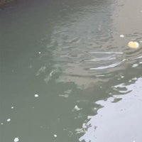 そのままスイー…