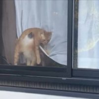 なぜ