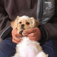 こんなことは初めて