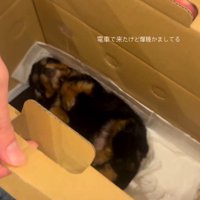 ぐっすり眠ってた！！