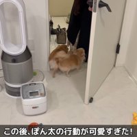 2匹揃って歓迎！