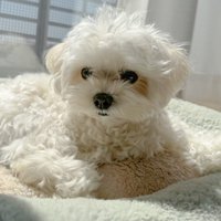 陽だまりに包まれて…