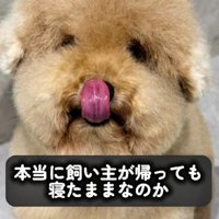 マイペースなピンちゃんでした