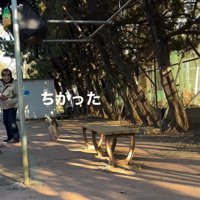 違う人だと気づいたカッパちゃん