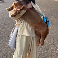 だん君を抱っこするママ