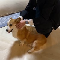 幸せ溢れる光景にほっこり♡
