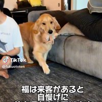 優しく咥える福ちゃん