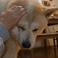 寒い日の朝の駄偉助くん5