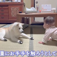 赤ちゃんは興味津々♪