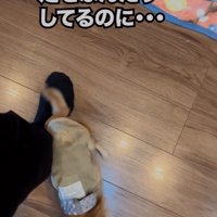 足の上を通過