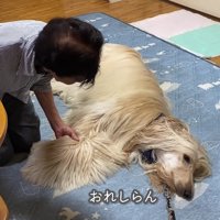 頑なに起き上がろうとしない