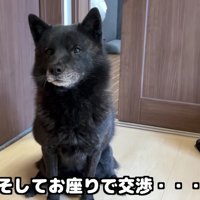 「僕が適任だと思うんだ」