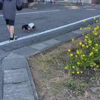 左目が見えていない…？